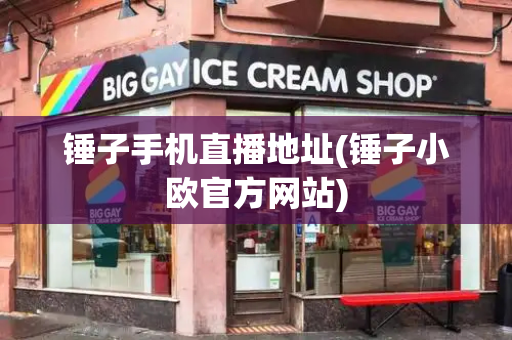 锤子手机直播地址(锤子小欧官方网站)-第1张图片-星选测评