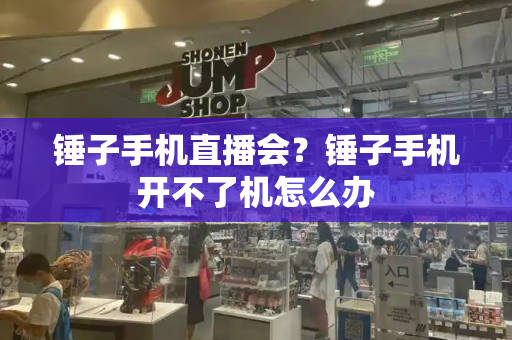 锤子手机直播会？锤子手机开不了机怎么办-第1张图片-星选测评