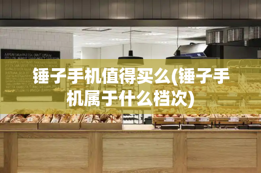 锤子手机值得买么(锤子手机属于什么档次)