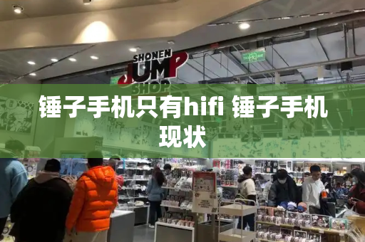 锤子手机只有hifi 锤子手机现状-第1张图片-星选测评