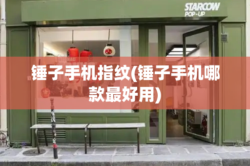锤子手机指纹(锤子手机哪款最好用)