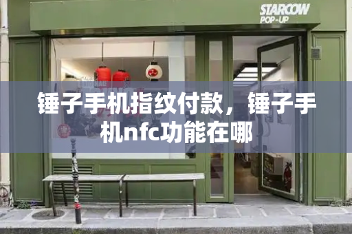 锤子手机指纹付款，锤子手机nfc功能在哪