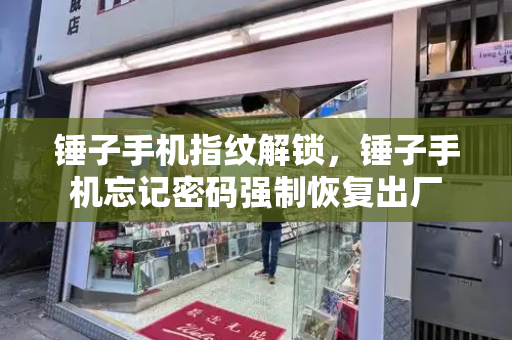 锤子手机指纹解锁，锤子手机忘记密码强制恢复出厂-第1张图片-星选测评