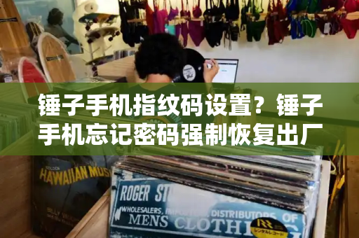 锤子手机指纹码设置？锤子手机忘记密码强制恢复出厂-第1张图片-星选测评
