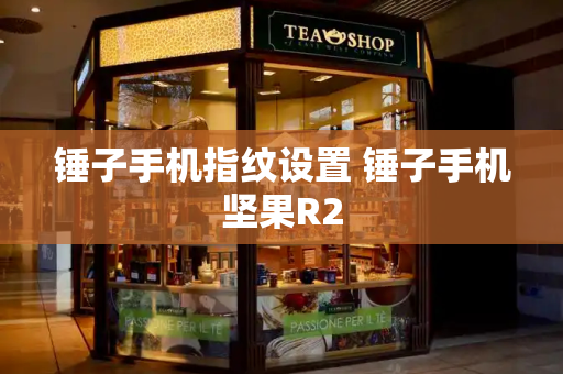 锤子手机指纹设置 锤子手机坚果R2