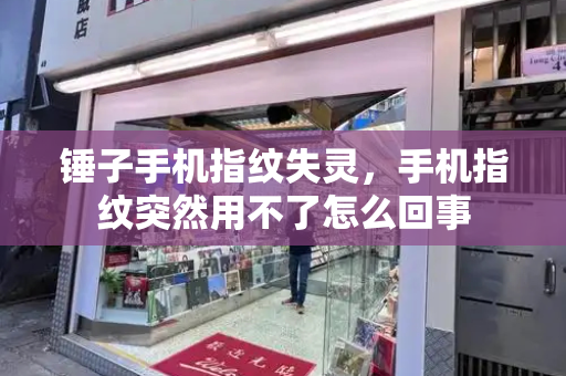 锤子手机指纹失灵，手机指纹突然用不了怎么回事-第1张图片-星选测评
