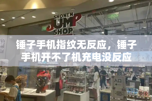 锤子手机指纹无反应，锤子手机开不了机充电没反应