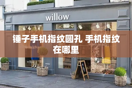 锤子手机指纹圆孔 手机指纹在哪里