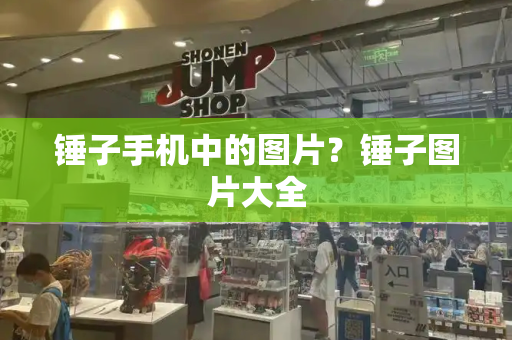 锤子手机中的图片？锤子图片大全