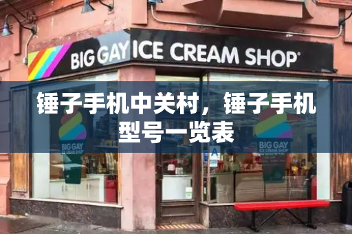 锤子手机中关村，锤子手机型号一览表-第1张图片-星选测评