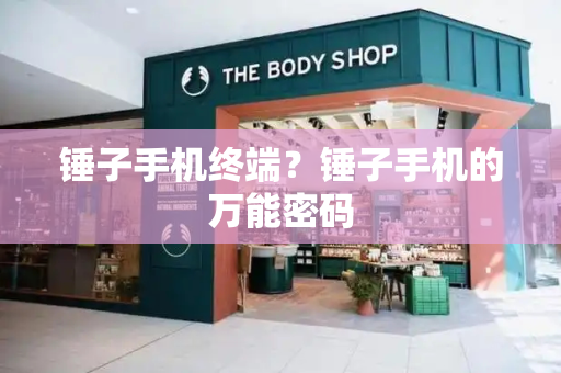锤子手机终端？锤子手机的万能密码-第1张图片-星选测评