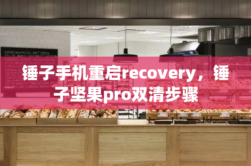 锤子手机重启recovery，锤子坚果pro双清步骤-第1张图片-星选测评