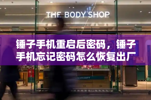 锤子手机重启后密码，锤子手机忘记密码怎么恢复出厂设置