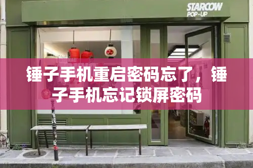 锤子手机重启密码忘了，锤子手机忘记锁屏密码-第1张图片-星选测评