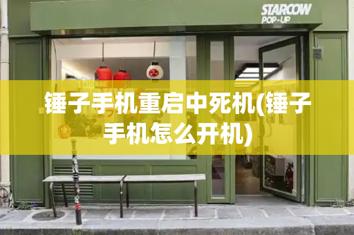 锤子手机重启中死机(锤子手机怎么开机)-第1张图片-星选测评