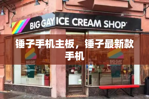 锤子手机主板，锤子最新款手机-第1张图片-星选测评