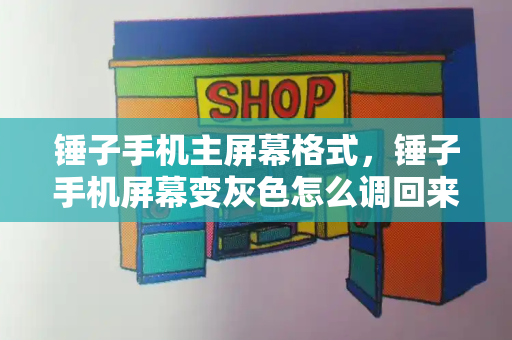 锤子手机主屏幕格式，锤子手机屏幕变灰色怎么调回来-第1张图片-星选测评