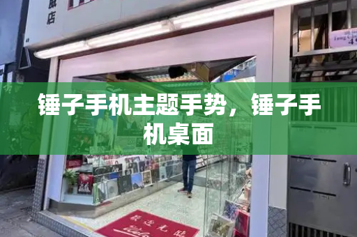 锤子手机主题手势，锤子手机桌面-第1张图片-星选测评