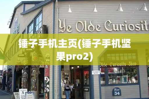 锤子手机主页(锤子手机坚果pro2)-第1张图片-星选测评