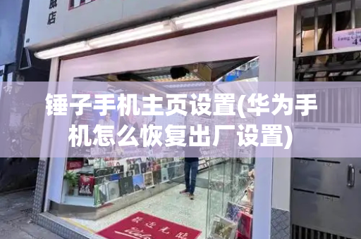 锤子手机主页设置(华为手机怎么恢复出厂设置)-第1张图片-星选测评