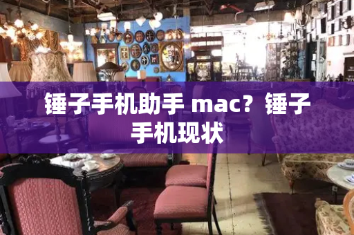 锤子手机助手 mac？锤子手机现状-第1张图片-星选测评