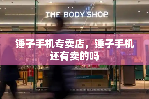 锤子手机专卖店，锤子手机还有卖的吗