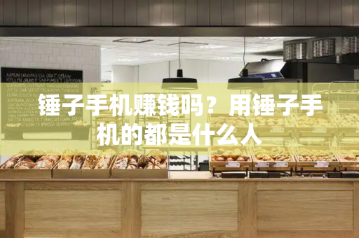 锤子手机赚钱吗？用锤子手机的都是什么人-第1张图片-星选测评