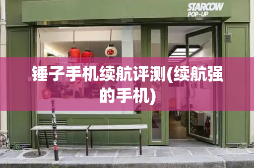 锤子手机续航评测(续航强的手机)-第1张图片-星选测评