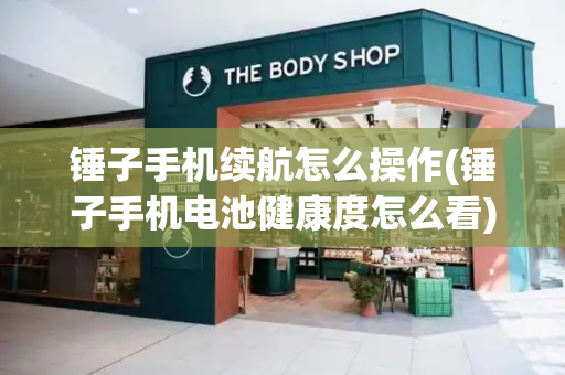 锤子手机续航怎么操作(锤子手机电池健康度怎么看)-第1张图片-星选测评