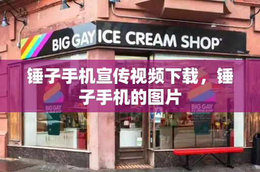 锤子手机宣传视频下载，锤子手机的图片