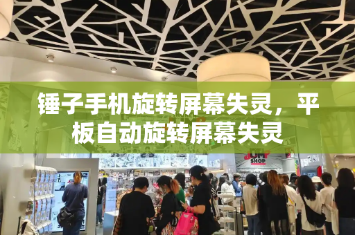 锤子手机旋转屏幕失灵，平板自动旋转屏幕失灵