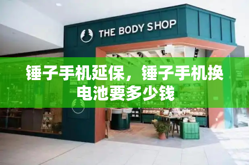 锤子手机延保，锤子手机换电池要多少钱