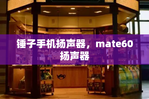 锤子手机扬声器，mate60扬声器