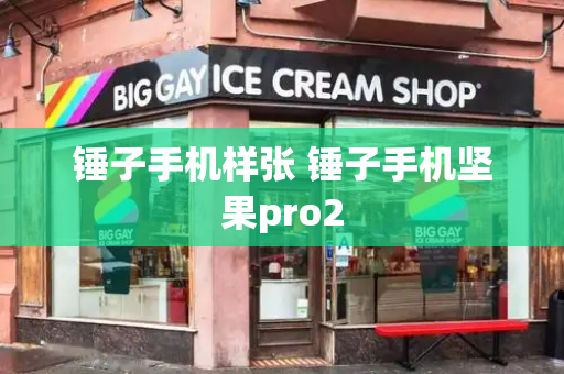 锤子手机样张 锤子手机坚果pro2-第1张图片-星选测评