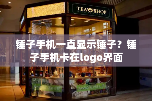 锤子手机一直显示锤子？锤子手机卡在logo界面-第1张图片-星选测评