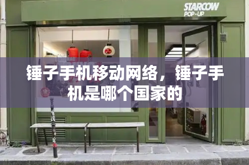 锤子手机移动网络，锤子手机是哪个国家的-第1张图片-星选测评