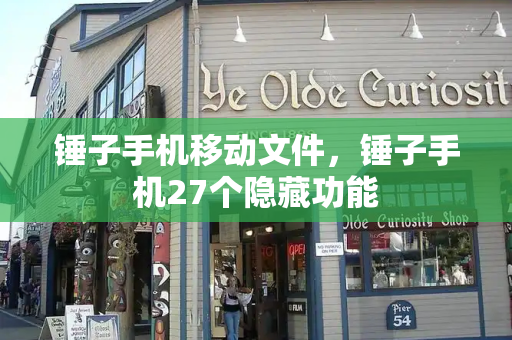 锤子手机移动文件，锤子手机27个隐藏功能