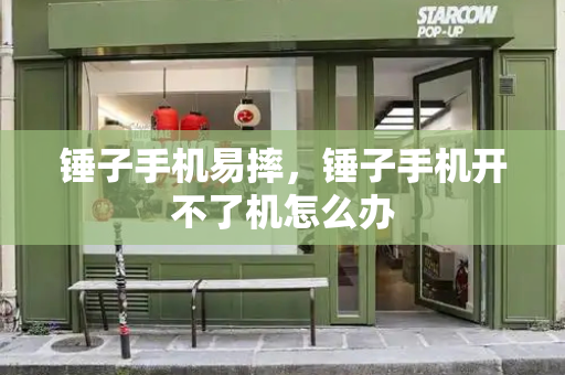 锤子手机易摔，锤子手机开不了机怎么办