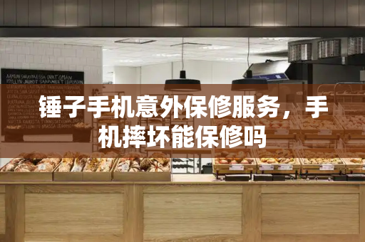 锤子手机意外保修服务，手机摔坏能保修吗-第1张图片-星选测评