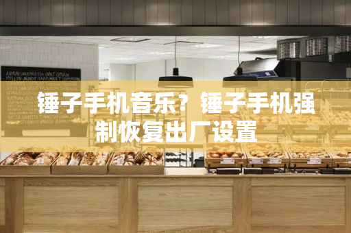 锤子手机音乐？锤子手机强制恢复出厂设置-第1张图片-星选测评