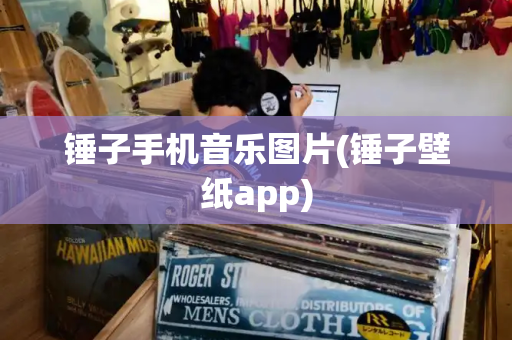 锤子手机音乐图片(锤子壁纸app)