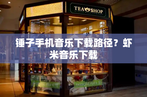 锤子手机音乐下载路径？虾米音乐下载-第1张图片-星选测评