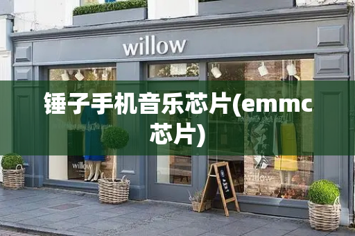 锤子手机音乐芯片(emmc芯片)