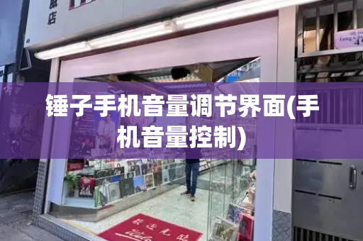 锤子手机音量调节界面(手机音量控制)-第1张图片-星选测评