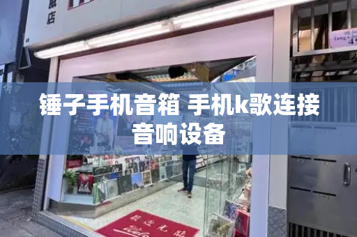 锤子手机音箱 手机k歌连接音响设备-第1张图片-星选测评