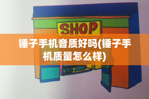 锤子手机音质好吗(锤子手机质量怎么样)-第1张图片-星选测评