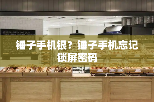 锤子手机银？锤子手机忘记锁屏密码