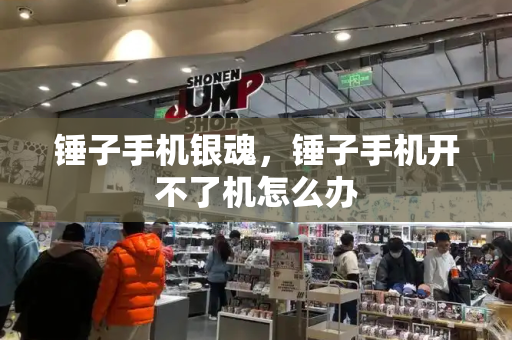 锤子手机银魂，锤子手机开不了机怎么办-第1张图片-星选测评