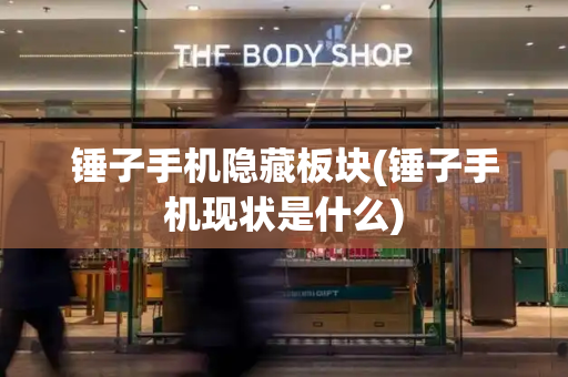 锤子手机隐藏板块(锤子手机现状是什么)