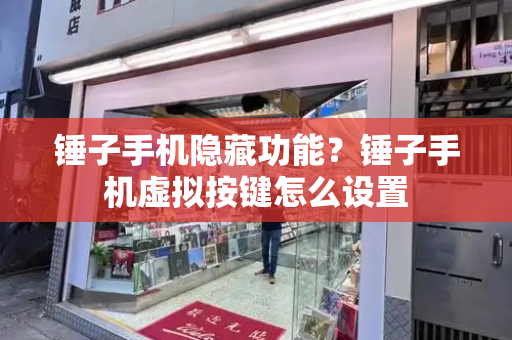锤子手机隐藏功能？锤子手机虚拟按键怎么设置-第1张图片-星选测评